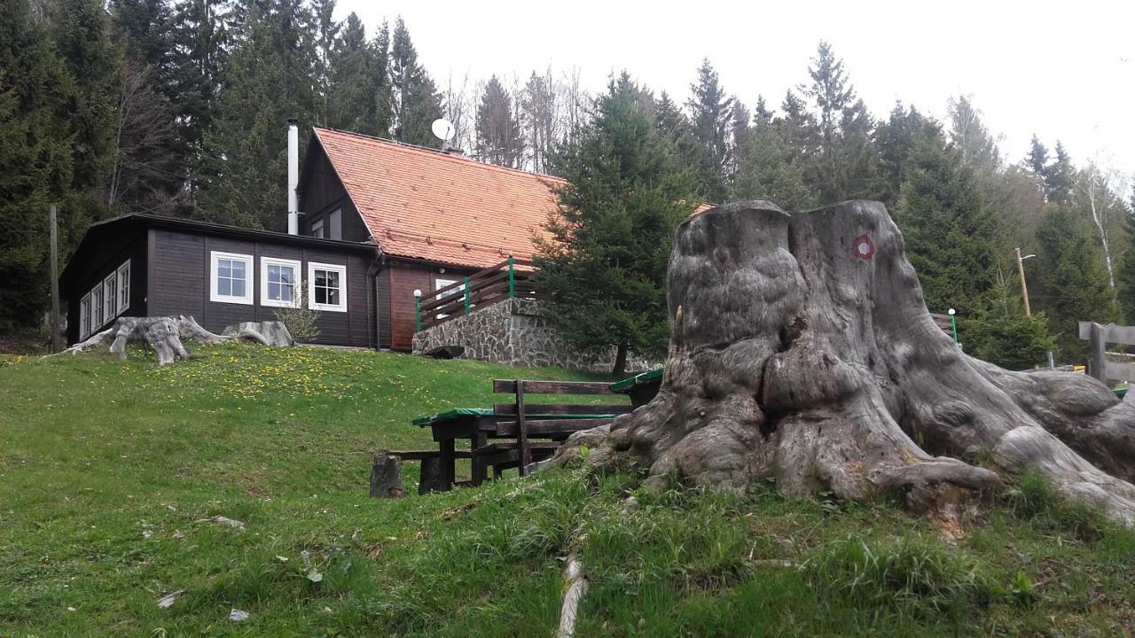 Bolfenk Apartment Hočko Pohorje Екстериор снимка